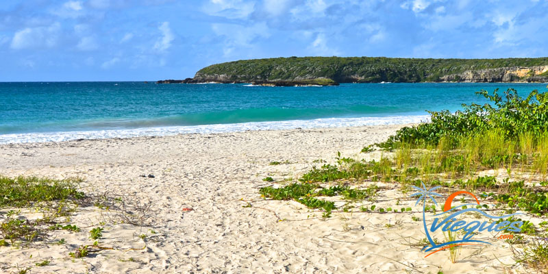 Caracas Beach – Vieques, Puerto Rico
