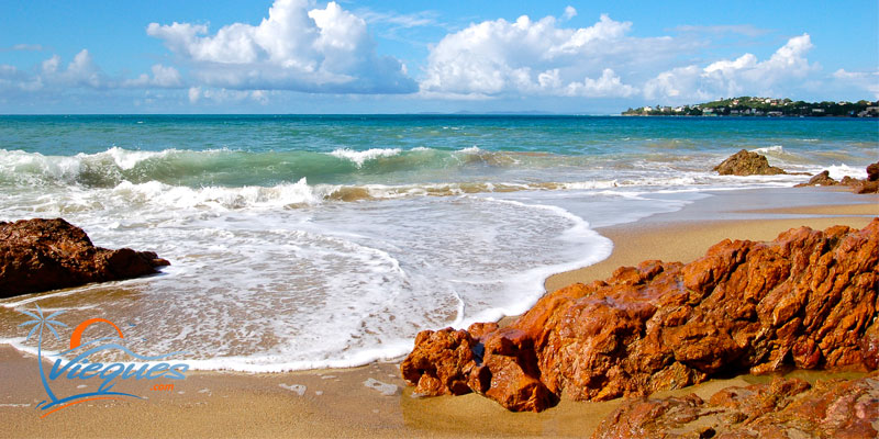 Cofi Beach