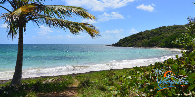 Escondida Beach