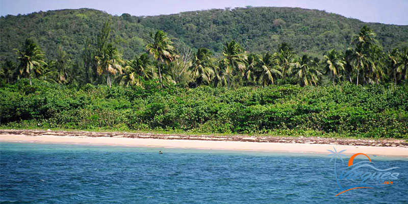 Mosquito Pier Beaches
