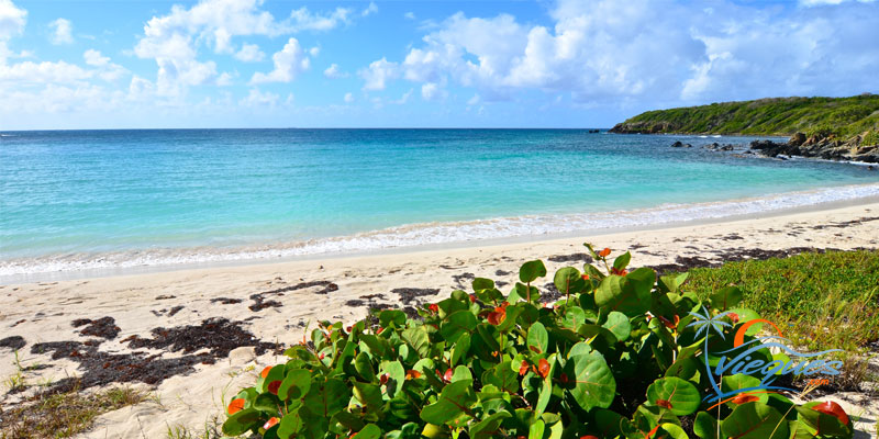 Pata Prieta Beach – “Secret Beach”