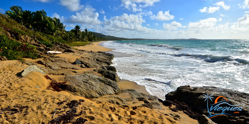 Playa Grande Beach