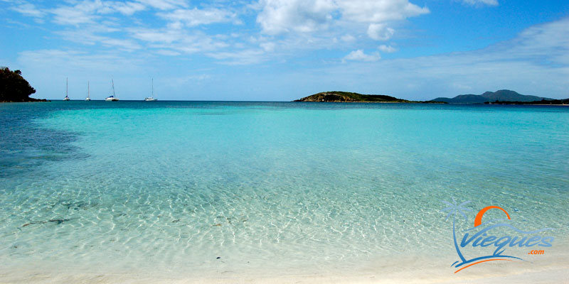 Sun Bay Beach