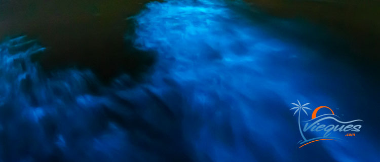 bioluminescent-bay-vieques-puerto-rico-things-to-do