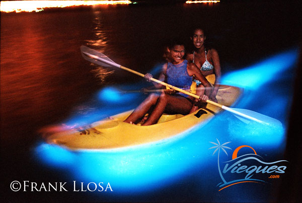 puerto-rico-bioluminescent-bay-vieques-bahia-fosforescente1