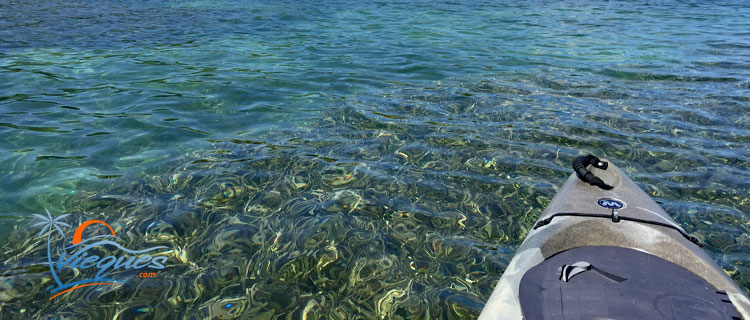 puerto-rico-things-to-do-vieques-kayaking