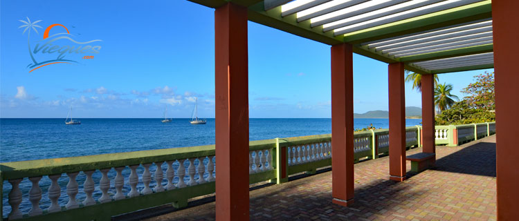 sightseeing-puerto-rico-isla-de-vieques (1)