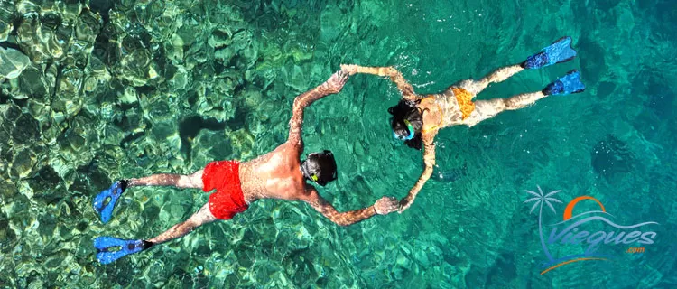 things-to-do-in-puerto-rico-snorkeling-vieques