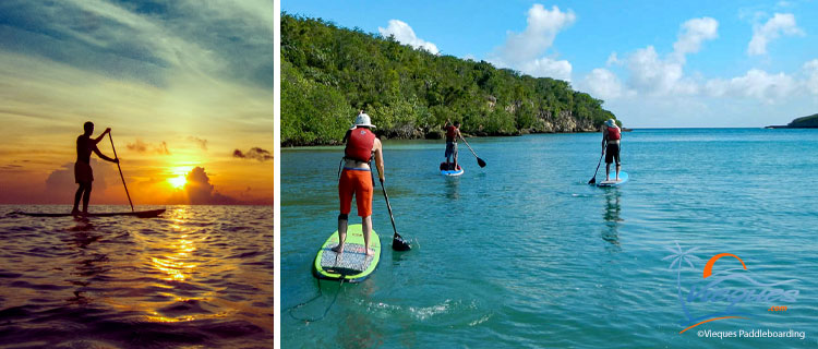 things-to-do-in-vieques-puerto-rico-paddleboarding-SUP (1)