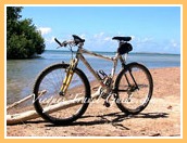 vieques-bicicletas-renta