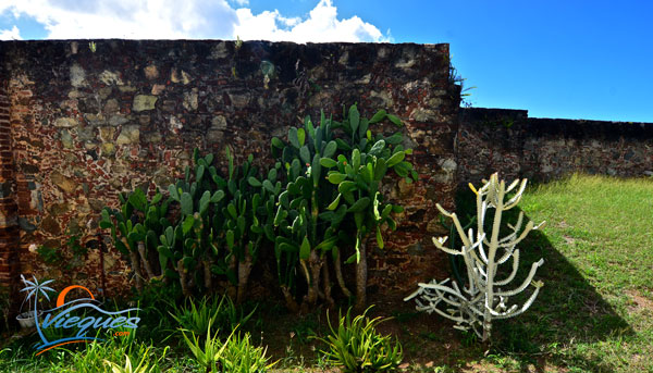 vieques-fortin-spanish-fort-walls-2015