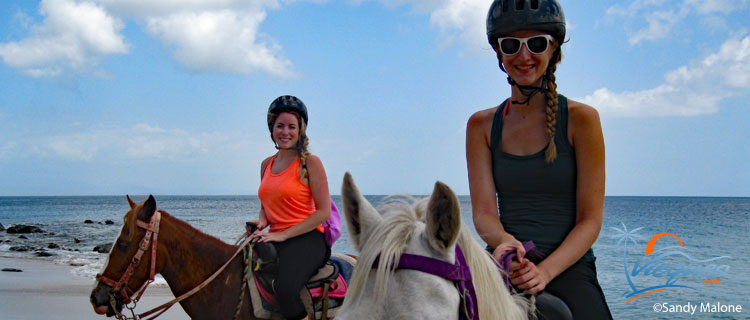 vieques-horsebackriding-things-to-do (1)