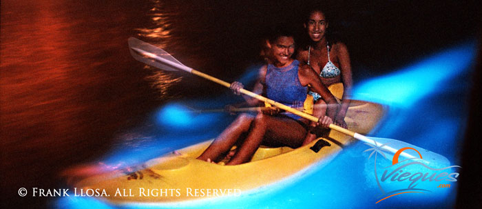vieques-island-attractions-bio-bay1