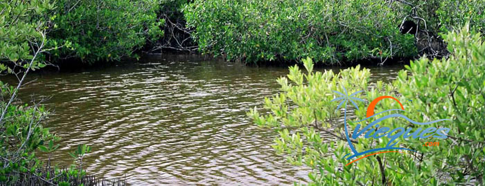 vieques-island-attractions-kiani1