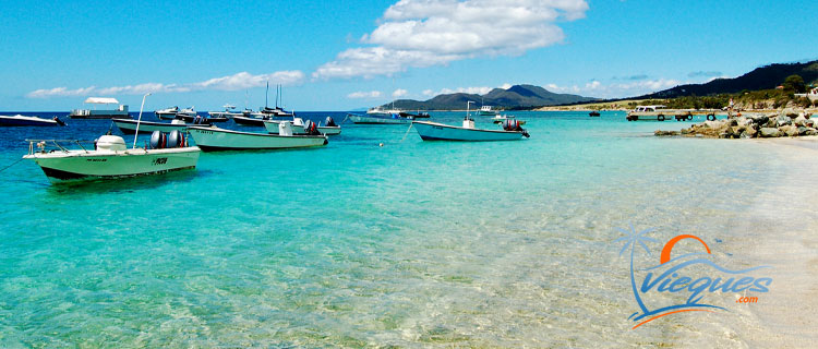 vieques-island-fishing-things-to-do-puerto-rico