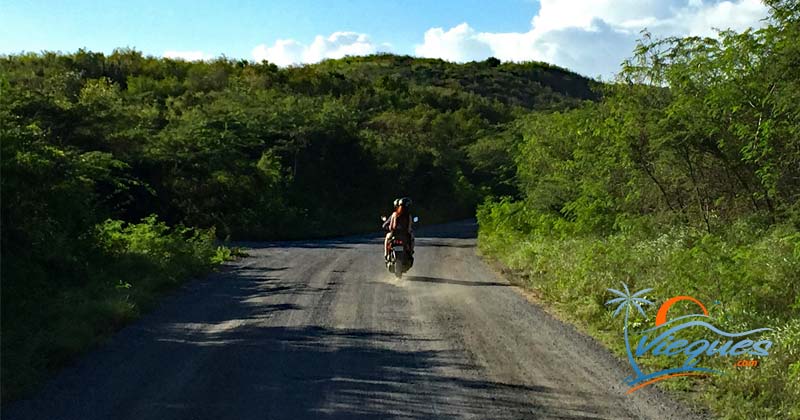 vieques-island-puerto-rico-scotter-rentals