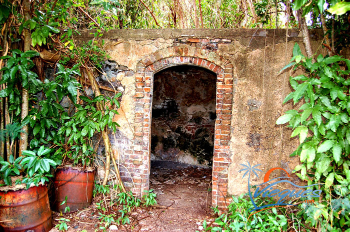 vieques-island-ruins-sugar-plantation-34