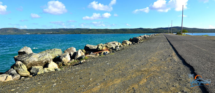 vieques-mosquito-pier-puerto-rico-island-345