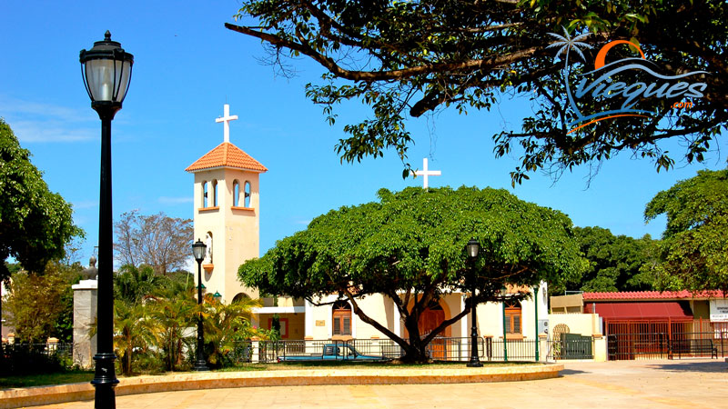 vieques-puerto-rico-8526