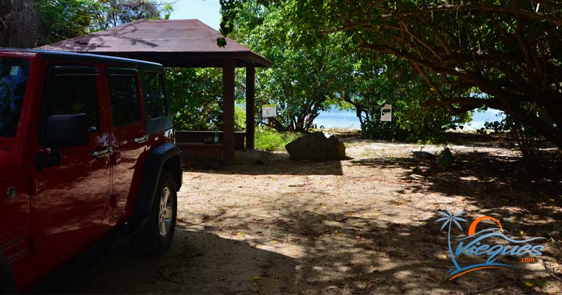 vieques-puerto-rico-car-rentals