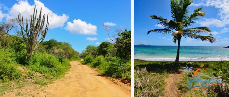 vieques-puerto-rico-things-to-do-exploring