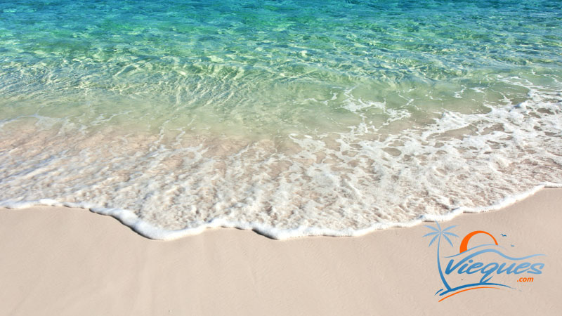 vieques-puerto-rico-tourism-beach