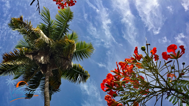 vieques-weather-puerto-rico-23