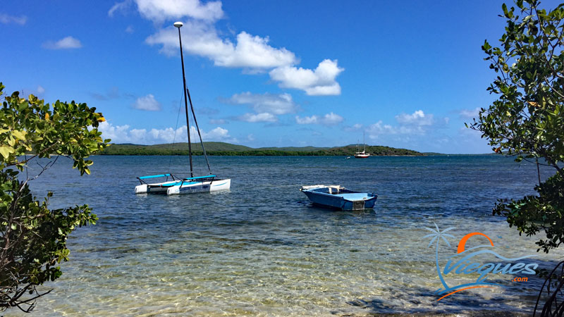 vieques-weather-puerto-rico-guide-34