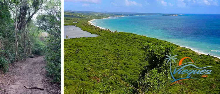 best-caribbean-hiking-destinations-vieques
