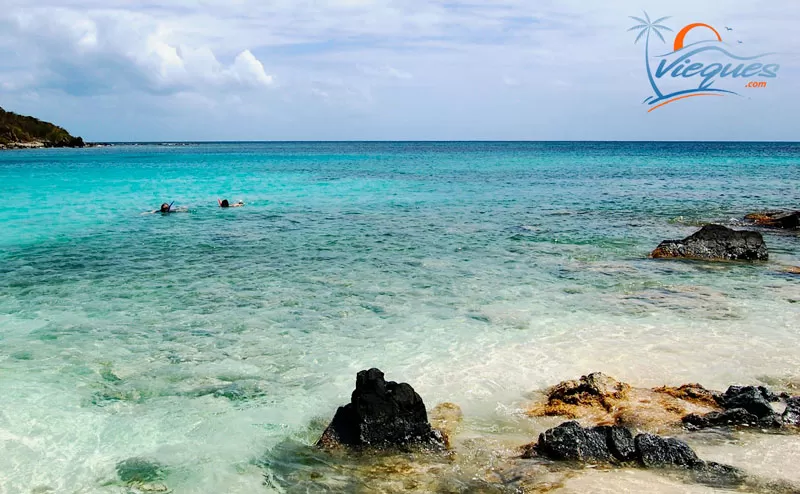 puerto-rico-snorkeling-best-beaches-vieques-island