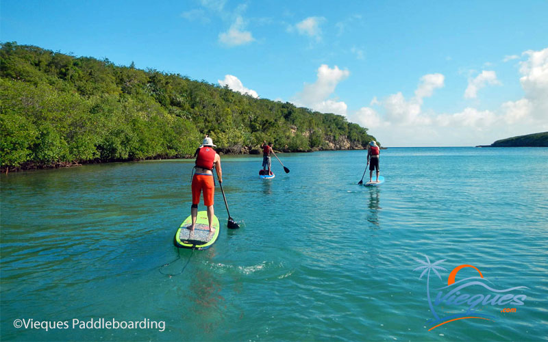 puerto-rico-vieques-paddleboarding-tours