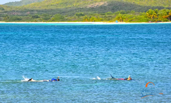 vieques-snorkeling-la-chiva-blue-beach-puerto-rico